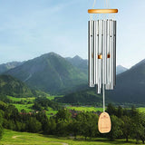 Woodstock Chimes OJ Ode to Joy Chime, Silver