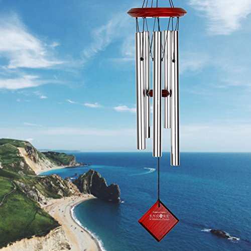 Woodstock Chimes DCS22 The Original Guaranteed Musically Tuned Polaris Chime, 22-Inch, Silver