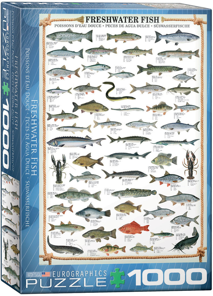 EuroGraphics Puzzles Freshwater Fish