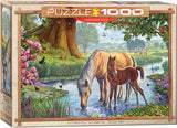 EuroGraphics Puzzles Poniesby Steve Crisp