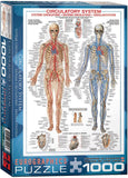 EuroGraphics Puzzles Circulatory System