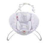 Fisher Price Fairytale Deluxe Bouncer DPW08