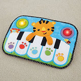 Fisher Price Kick & Play Piano CCW02 & DYW51