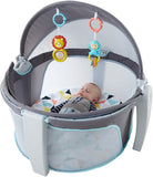 Fisher Price On-the-Go Baby Dome DRF13