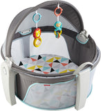 Fisher Price On-the-Go Baby Dome DRF13