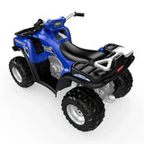 Fisher Price Power Wheels® Kawasaki Brute Force® (Blue) CDD20