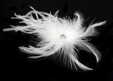 Bridal Feather Hair Fascinator Clip 440 with Brooch Pin