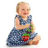 Fisher Price Happy Apple Teether DFP59