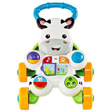 Fisher Price Learn with Me Zebra Walker DKH80