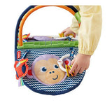 Fisher Price Monkey Mirror DYC85