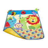 Fisher Price On-the-Go Activity Throw DYW52